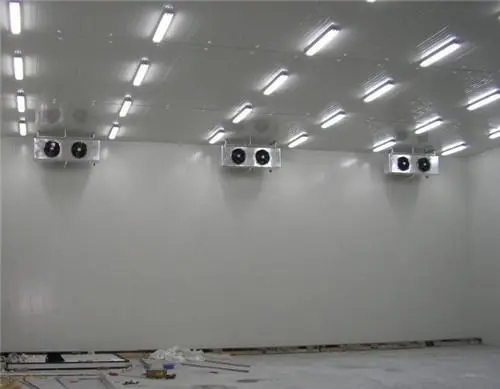  大型冷库安装_建造现代化冷链基地：大型冷藏库的智能化设计